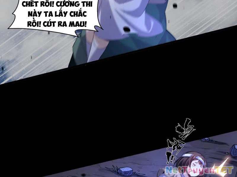 Xuyên Không Đến Thế Giới Tu Chân, Ta Vậy Mà Kích Hoạt Được Hệ Thống Plants vs Zombie Chapter 1 - Trang 3