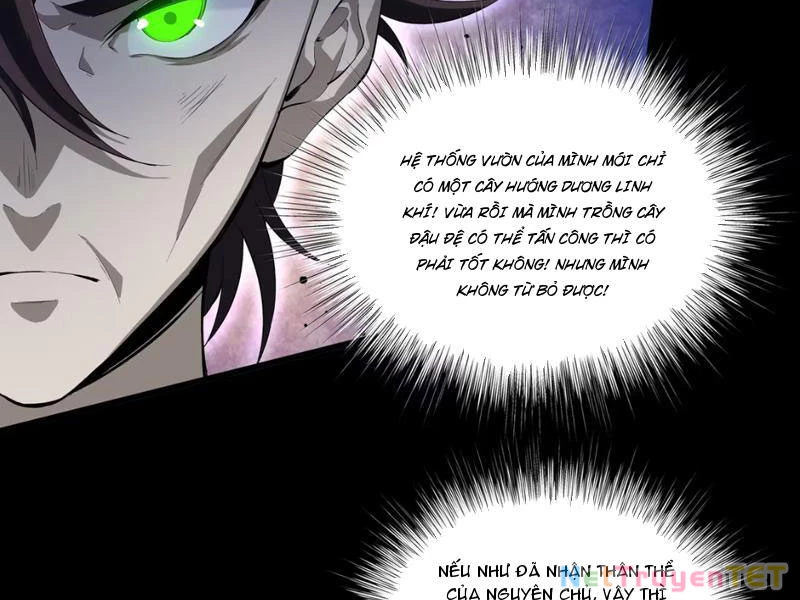 Xuyên Không Đến Thế Giới Tu Chân, Ta Vậy Mà Kích Hoạt Được Hệ Thống Plants vs Zombie Chapter 1 - Trang 3