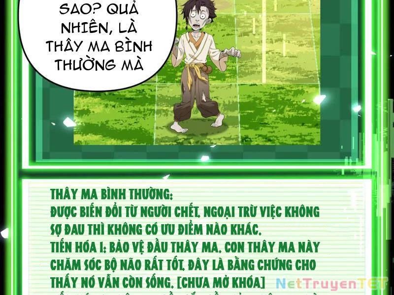 Xuyên Không Đến Thế Giới Tu Chân, Ta Vậy Mà Kích Hoạt Được Hệ Thống Plants vs Zombie Chapter 1 - Trang 2