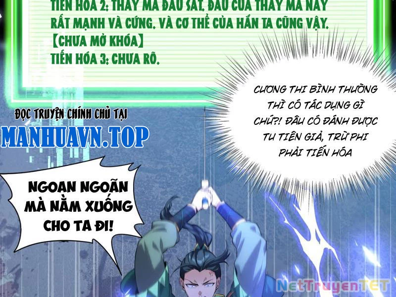 Xuyên Không Đến Thế Giới Tu Chân, Ta Vậy Mà Kích Hoạt Được Hệ Thống Plants vs Zombie Chapter 1 - Trang 3