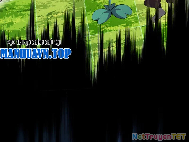 Xuyên Không Đến Thế Giới Tu Chân, Ta Vậy Mà Kích Hoạt Được Hệ Thống Plants vs Zombie Chapter 1 - Trang 3