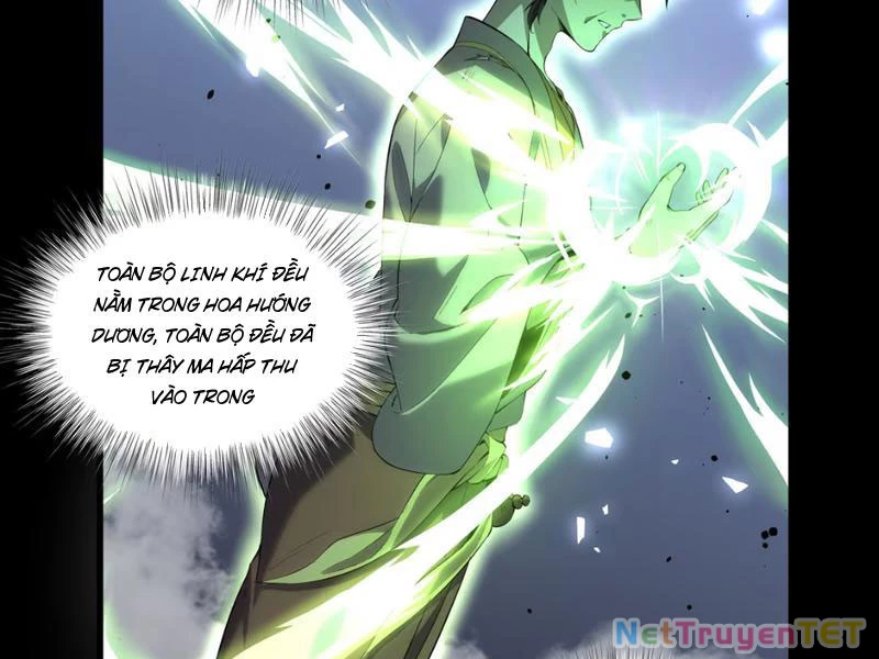Xuyên Không Đến Thế Giới Tu Chân, Ta Vậy Mà Kích Hoạt Được Hệ Thống Plants vs Zombie Chapter 1 - Trang 3