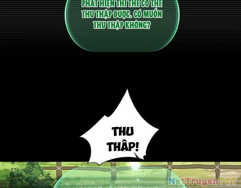 Xuyên Không Đến Thế Giới Tu Chân, Ta Vậy Mà Kích Hoạt Được Hệ Thống Plants vs Zombie Chapter 1 - Trang 3