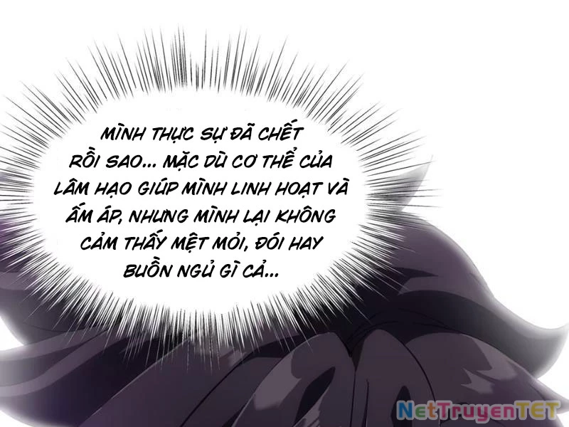 Xuyên Không Đến Thế Giới Tu Chân, Ta Vậy Mà Kích Hoạt Được Hệ Thống Plants vs Zombie Chapter 2 - Trang 3