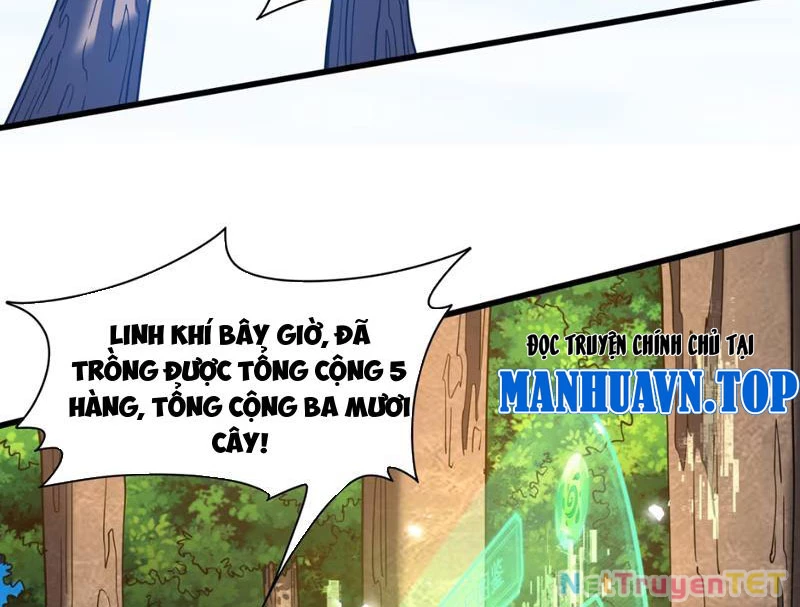 Xuyên Không Đến Thế Giới Tu Chân, Ta Vậy Mà Kích Hoạt Được Hệ Thống Plants vs Zombie Chapter 2 - Trang 3