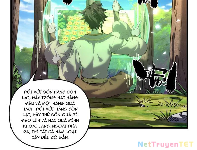 Xuyên Không Đến Thế Giới Tu Chân, Ta Vậy Mà Kích Hoạt Được Hệ Thống Plants vs Zombie Chapter 2 - Trang 3