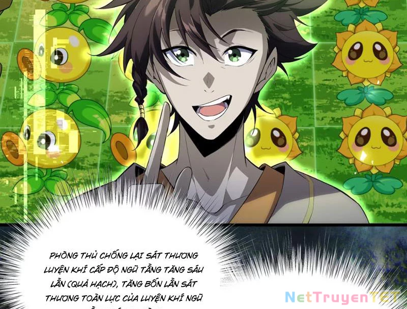 Xuyên Không Đến Thế Giới Tu Chân, Ta Vậy Mà Kích Hoạt Được Hệ Thống Plants vs Zombie Chapter 2 - Trang 3
