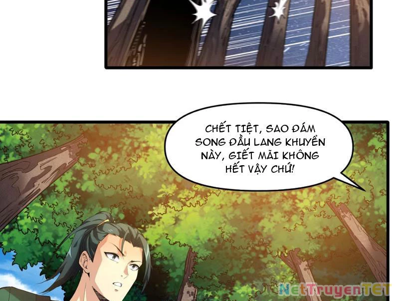 Xuyên Không Đến Thế Giới Tu Chân, Ta Vậy Mà Kích Hoạt Được Hệ Thống Plants vs Zombie Chapter 2 - Trang 3