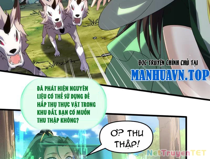 Xuyên Không Đến Thế Giới Tu Chân, Ta Vậy Mà Kích Hoạt Được Hệ Thống Plants vs Zombie Chapter 2 - Trang 3