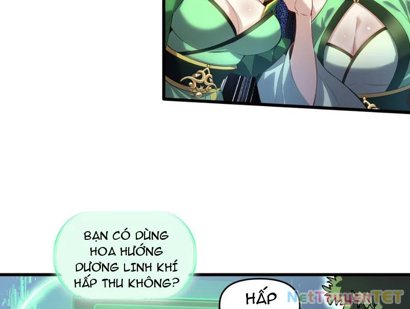 Xuyên Không Đến Thế Giới Tu Chân, Ta Vậy Mà Kích Hoạt Được Hệ Thống Plants vs Zombie Chapter 2 - Trang 3
