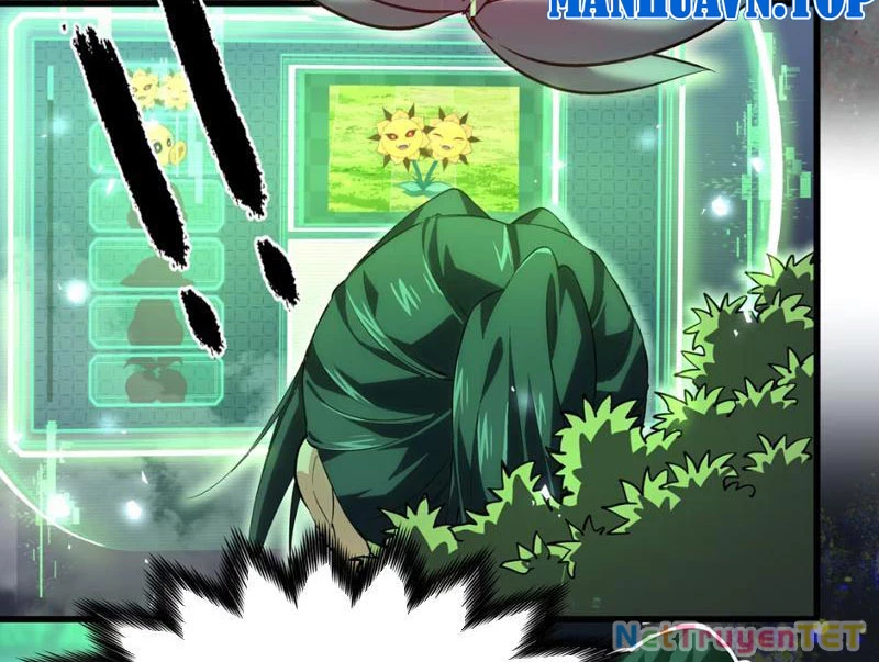 Xuyên Không Đến Thế Giới Tu Chân, Ta Vậy Mà Kích Hoạt Được Hệ Thống Plants vs Zombie Chapter 2 - Trang 3