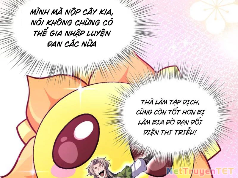 Xuyên Không Đến Thế Giới Tu Chân, Ta Vậy Mà Kích Hoạt Được Hệ Thống Plants vs Zombie Chapter 5 - Trang 3
