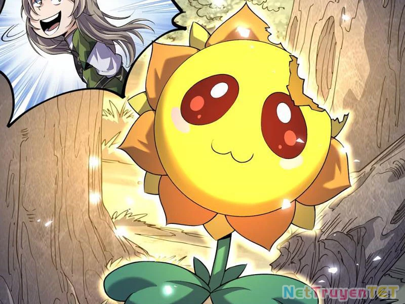 Xuyên Không Đến Thế Giới Tu Chân, Ta Vậy Mà Kích Hoạt Được Hệ Thống Plants vs Zombie Chapter 5 - Trang 3
