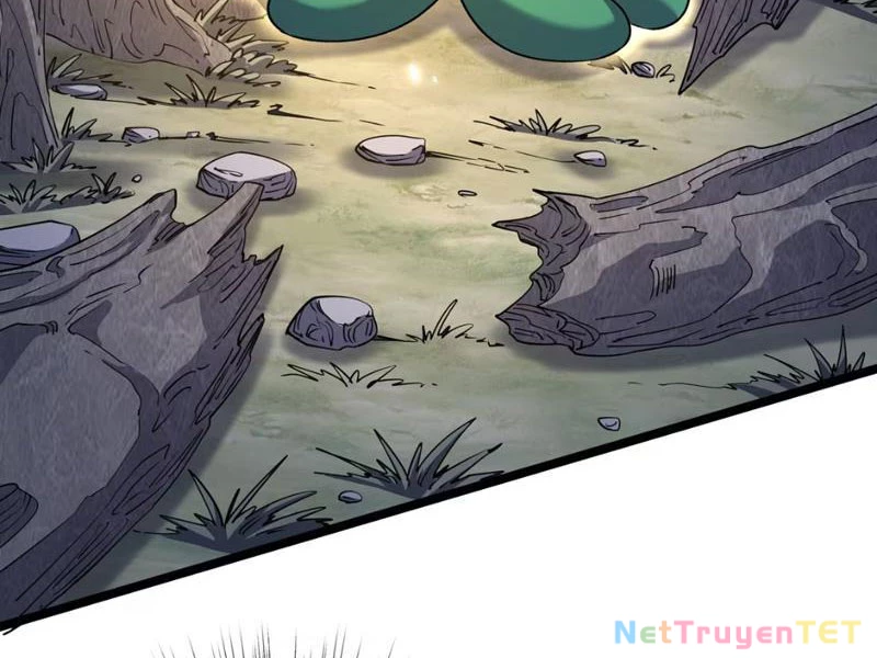 Xuyên Không Đến Thế Giới Tu Chân, Ta Vậy Mà Kích Hoạt Được Hệ Thống Plants vs Zombie Chapter 5 - Trang 3