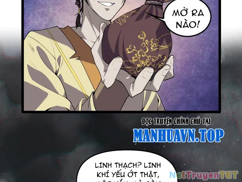Xuyên Không Đến Thế Giới Tu Chân, Ta Vậy Mà Kích Hoạt Được Hệ Thống Plants vs Zombie Chapter 5 - Next Chapter 6