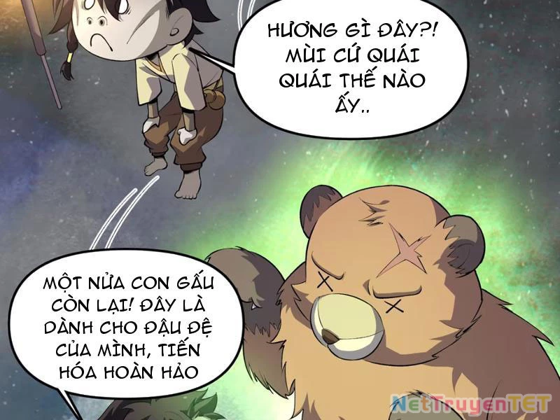 Xuyên Không Đến Thế Giới Tu Chân, Ta Vậy Mà Kích Hoạt Được Hệ Thống Plants vs Zombie Chapter 5 - Trang 3