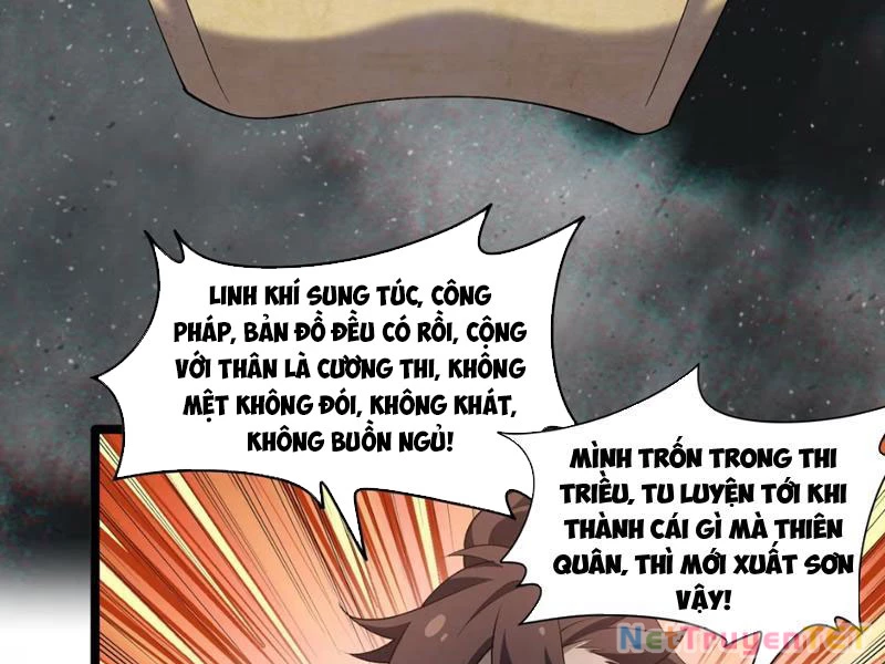 Xuyên Không Đến Thế Giới Tu Chân, Ta Vậy Mà Kích Hoạt Được Hệ Thống Plants vs Zombie Chapter 5 - Next Chapter 6
