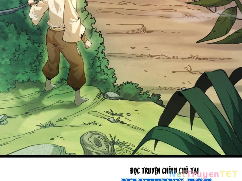 Xuyên Không Đến Thế Giới Tu Chân, Ta Vậy Mà Kích Hoạt Được Hệ Thống Plants vs Zombie Chapter 5 - Trang 3