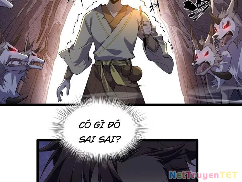 Xuyên Không Đến Thế Giới Tu Chân, Ta Vậy Mà Kích Hoạt Được Hệ Thống Plants vs Zombie Chapter 5 - Next Chapter 6