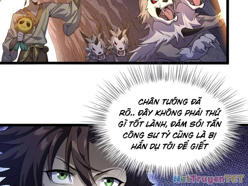 Xuyên Không Đến Thế Giới Tu Chân, Ta Vậy Mà Kích Hoạt Được Hệ Thống Plants vs Zombie Chapter 5 - Trang 3