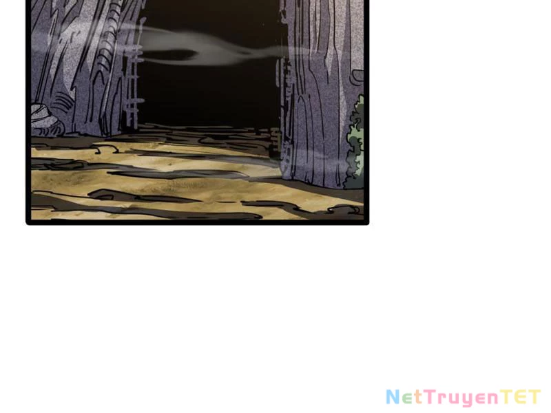 Xuyên Không Đến Thế Giới Tu Chân, Ta Vậy Mà Kích Hoạt Được Hệ Thống Plants vs Zombie Chapter 5 - Trang 3