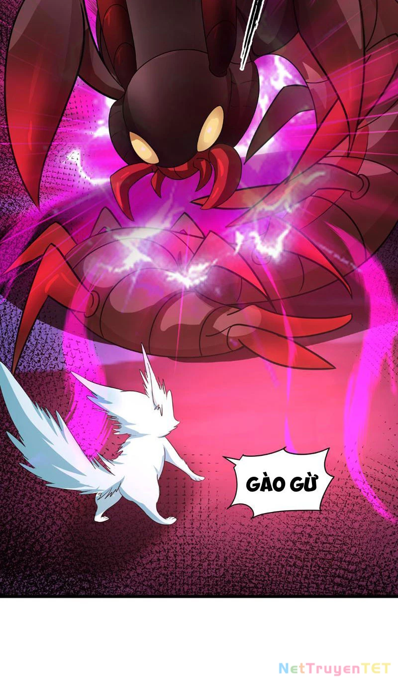 Tân Sủng Mị Chapter 11 - Trang 2