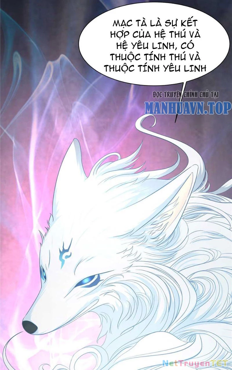 Tân Sủng Mị Chapter 19 - Trang 2