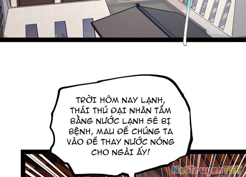 Chàng Rể Mạnh Nhất Lịch Sử Chapter 265 - Trang 4