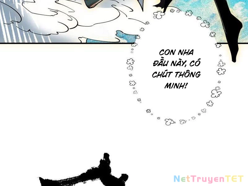 Gặp Mạnh Thì Mạnh, Ta Tu Vi Vô Thượng Hạn Chapter 13 - Trang 3