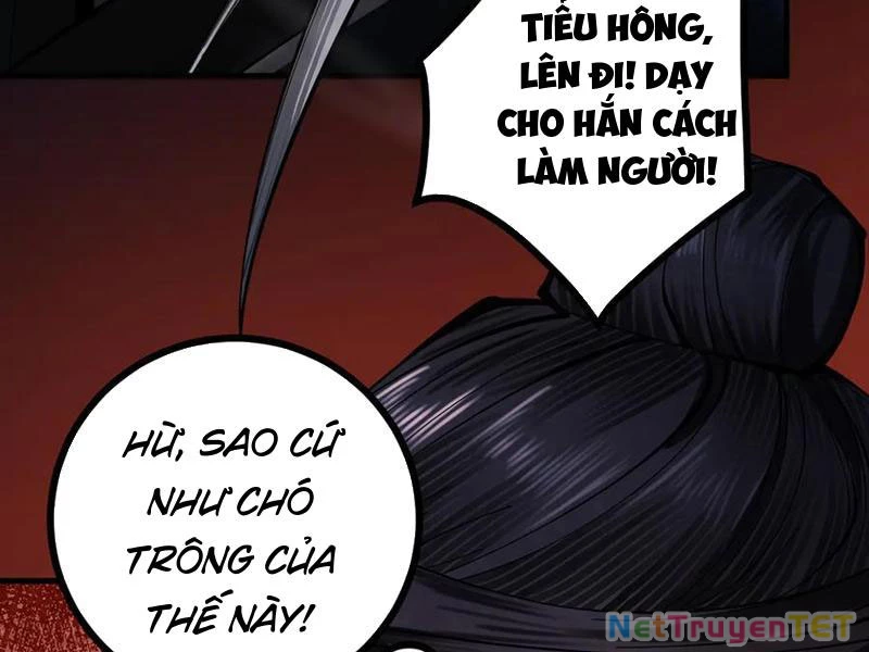 Gặp Mạnh Thì Mạnh, Ta Tu Vi Vô Thượng Hạn Chapter 13 - Trang 3