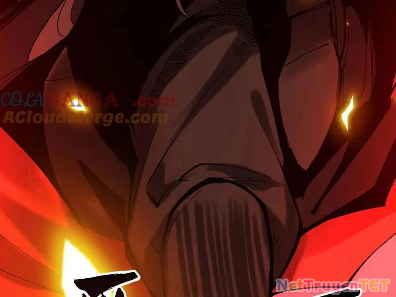 Gặp Mạnh Thì Mạnh, Ta Tu Vi Vô Thượng Hạn Chapter 13 - Trang 3