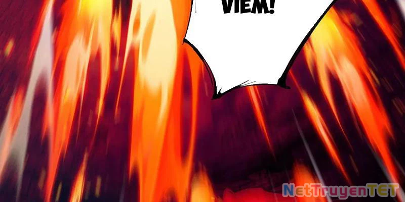 Gặp Mạnh Thì Mạnh, Ta Tu Vi Vô Thượng Hạn Chapter 13 - Trang 3