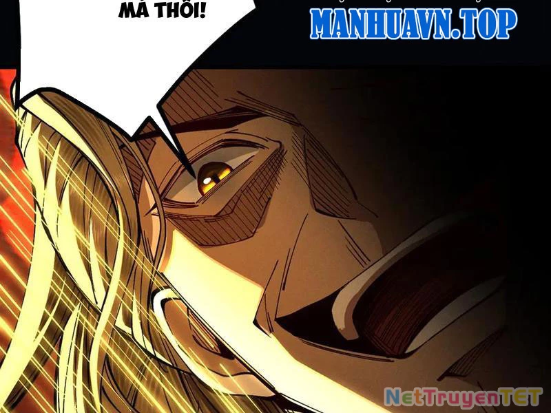 Gặp Mạnh Thì Mạnh, Ta Tu Vi Vô Thượng Hạn Chapter 13 - Trang 3