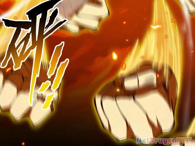 Gặp Mạnh Thì Mạnh, Ta Tu Vi Vô Thượng Hạn Chapter 13 - Trang 3