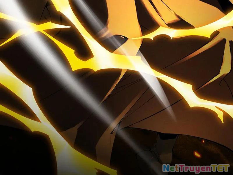 Gặp Mạnh Thì Mạnh, Ta Tu Vi Vô Thượng Hạn Chapter 13 - Trang 3