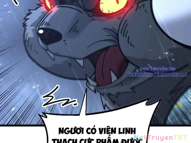 Lão xà tu tiên truyện Chapter 24 - Trang 4