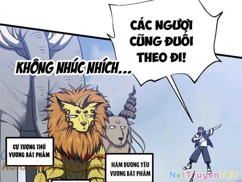 Toàn Cầu Cao Võ Chapter 295 - Trang 4