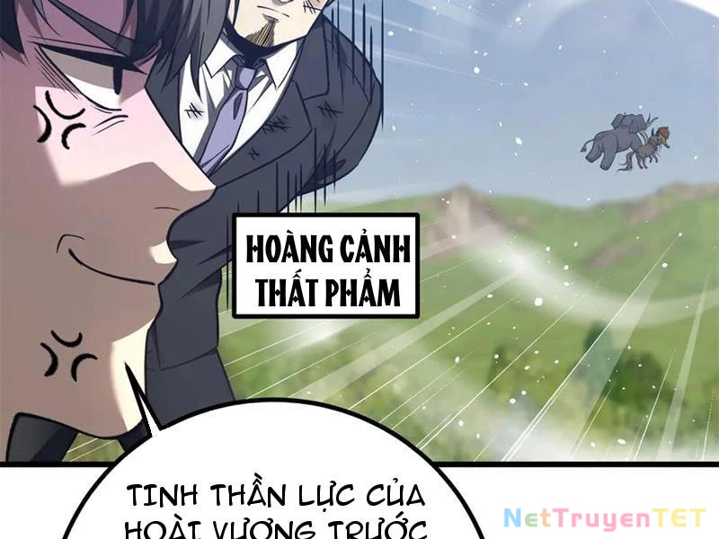 Toàn Cầu Cao Võ Chapter 295 - Trang 4
