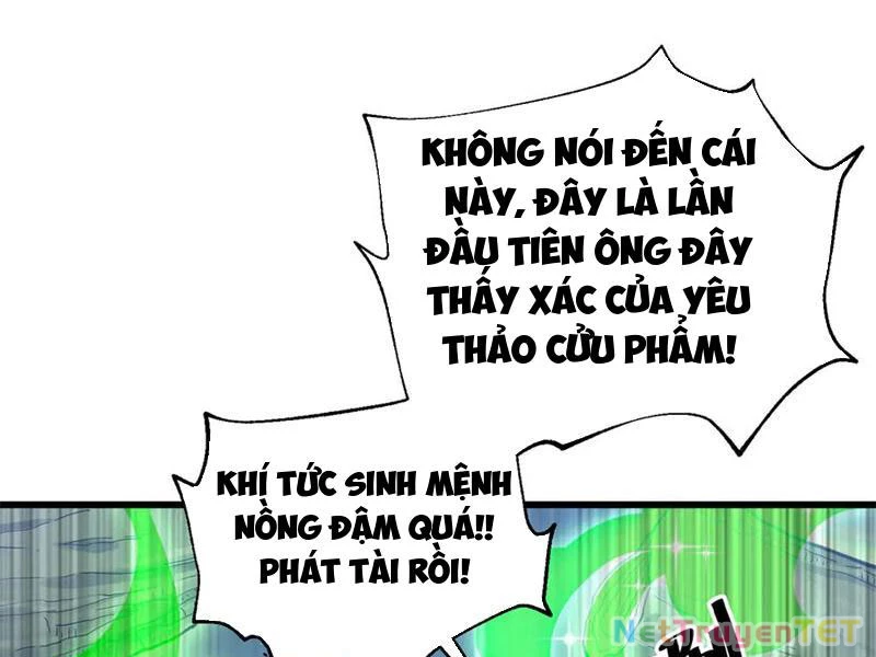 Toàn Cầu Cao Võ Chapter 295 - Trang 4