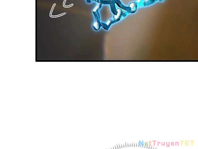 Đại Thừa Kỳ Mới Có Nghịch Tập Hệ Thống Chapter 51 - Trang 4