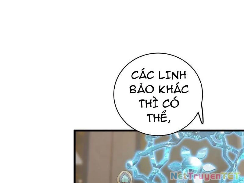 Đại Thừa Kỳ Mới Có Nghịch Tập Hệ Thống Chapter 51 - Trang 4