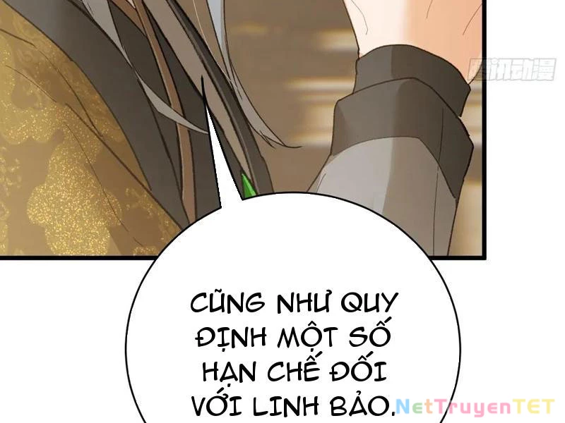 Đại Thừa Kỳ Mới Có Nghịch Tập Hệ Thống Chapter 51 - Trang 4