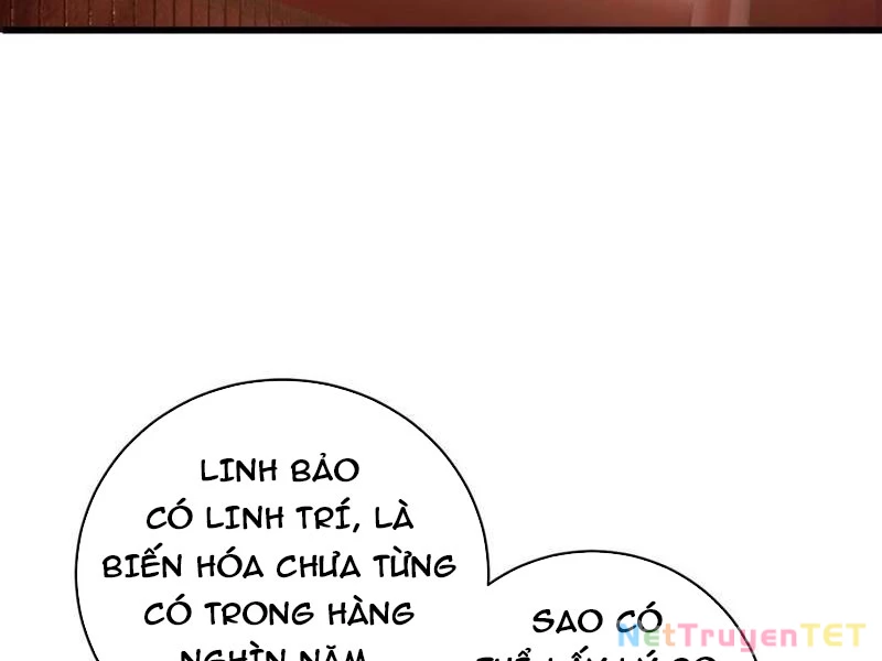 Đại Thừa Kỳ Mới Có Nghịch Tập Hệ Thống Chapter 51 - Trang 4