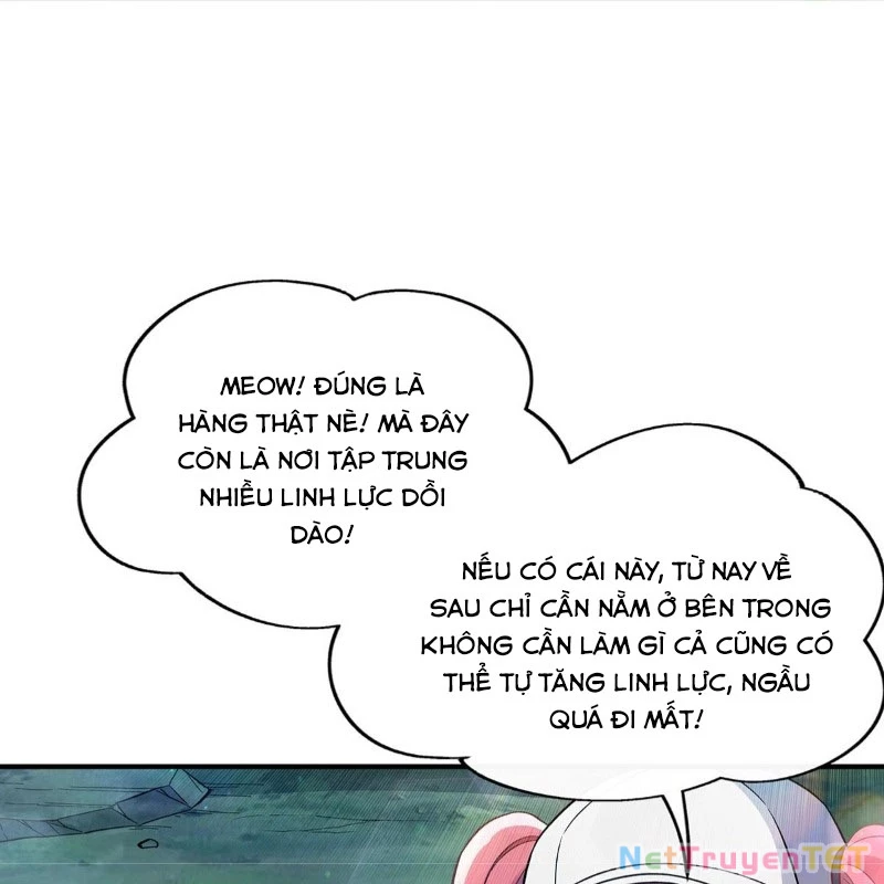 Các Nữ Đồ Đệ Của Ta Đều Là Chư Thiên Đại Lão Tương Lai Chapter 268 - Trang 2
