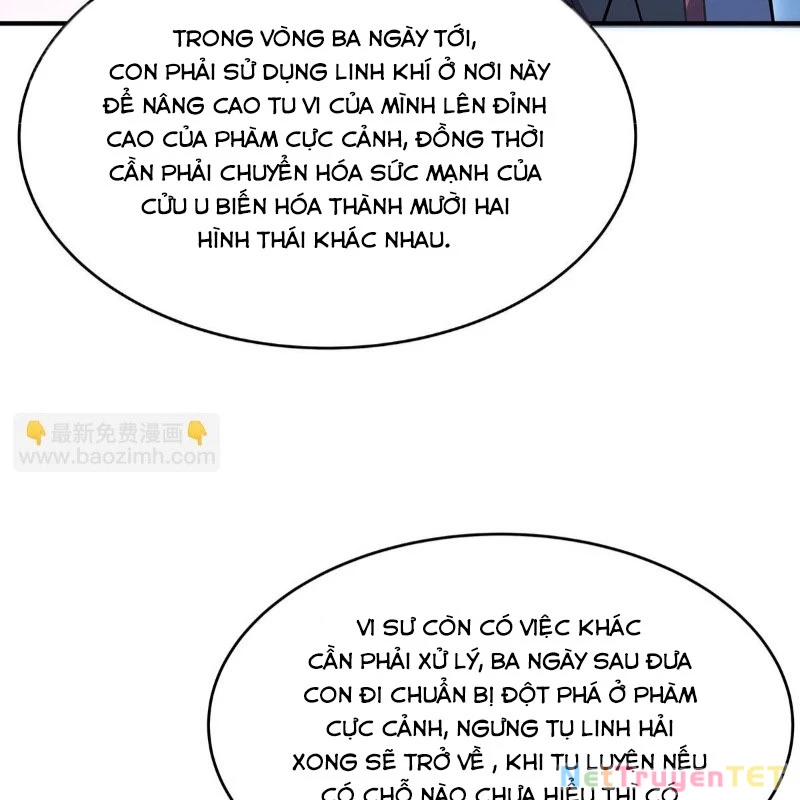 Các Nữ Đồ Đệ Của Ta Đều Là Chư Thiên Đại Lão Tương Lai Chapter 268 - Trang 2