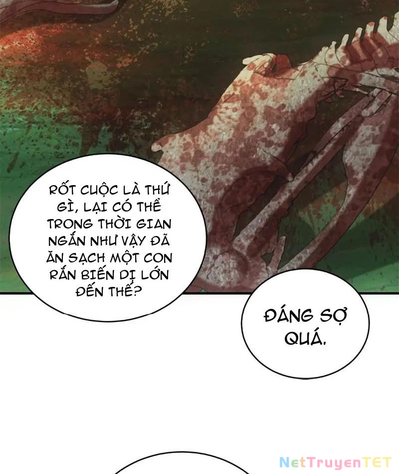 Ta Bán Hàng Vỉa Hè Ở Mạt Thế Chapter 25 - Trang 4