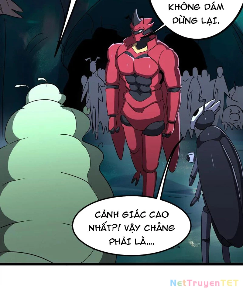 Bản Sao Của Tôi Là Trùng Vương Không Gian Chapter 8 - Trang 2