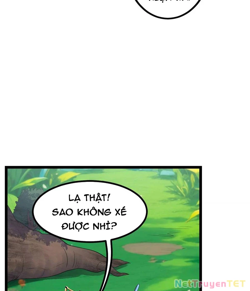 Bản Sao Của Tôi Là Trùng Vương Không Gian Chapter 11 - Trang 2