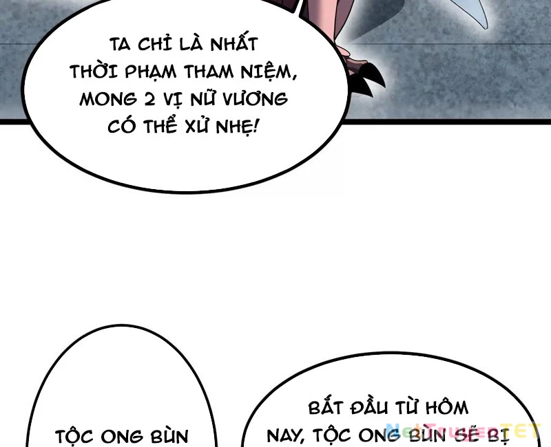 Bản Sao Của Tôi Là Trùng Vương Không Gian Chapter 13 - Trang 2