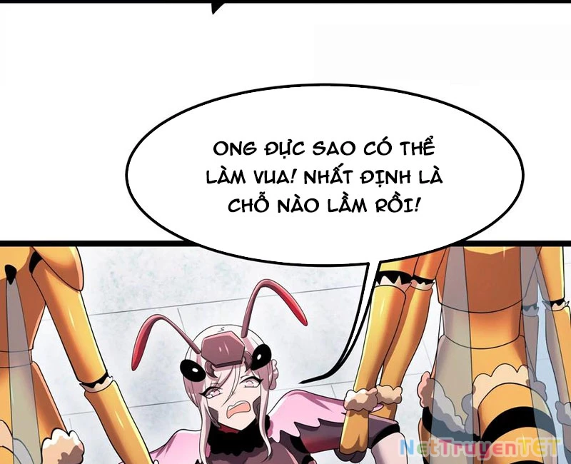 Bản Sao Của Tôi Là Trùng Vương Không Gian Chapter 13 - Trang 2